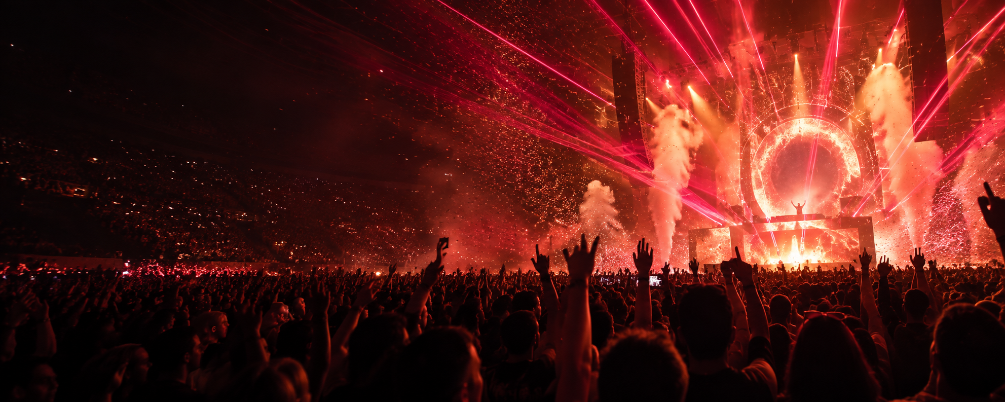 Stadium Concert Experience